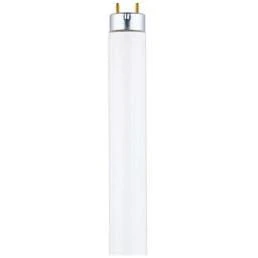 F32T8/841/ECO 109402 FLUOR BULB