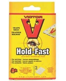 Victor Mouse Glue Tray M172 Sticky Trap