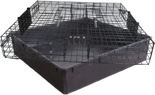 Sqr The Squirrelinator Live Squirrel Trap With Basin