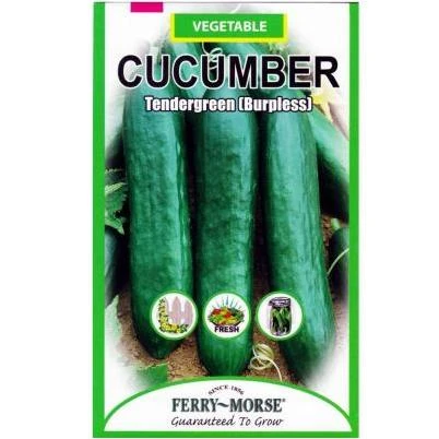 Tendergreen Burpless Cucumber Seed