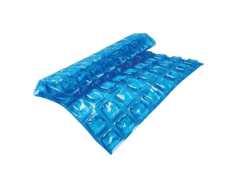 Igloo Natural Ice Ice Gel Pack 2 lb. capacity Blue 1 pk