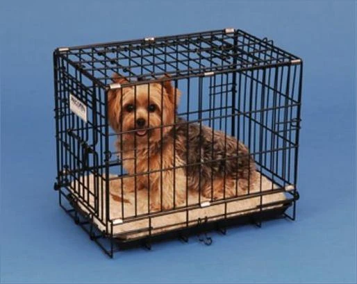 PRO-VALUE CRATE 2000 24X18X19