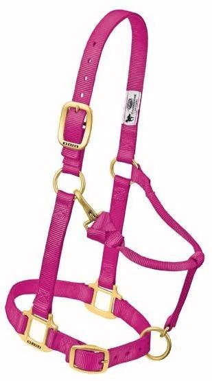 RASPBERRY WEAVER ORIGINAL ADJUSTABLE CHIN THROAT SNAP HALTER 3/4" WEANLING PONY