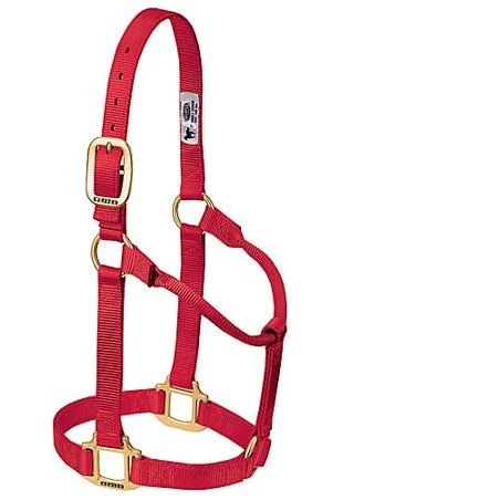 Weaver Original Non-Adjustable Nylon Halter Large Horse/2-Year-Old Draft Red