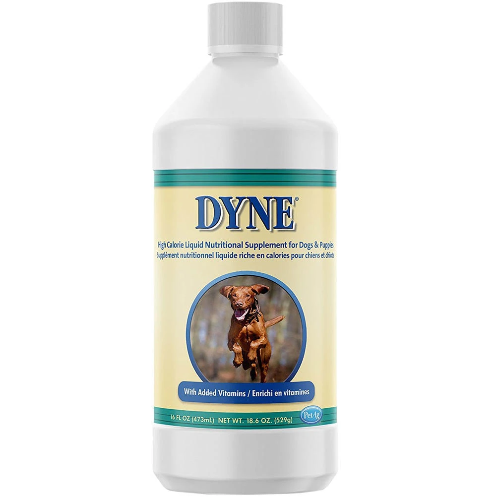 DYNE High Calorie Dog Supplement 16oz