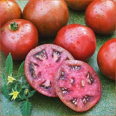 2.32 Qt. Tomato-Black Prince Russian Heirloom