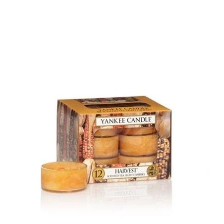 Harvest Box of 12 Tealights by