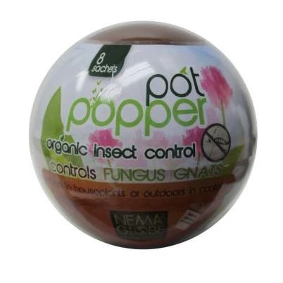 Beneficial Nematode Fungus Gnat Control for Indoor Plants