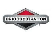 Briggs & Stratton 791867 Fuel Line Replacement With Clamps For Model 692601