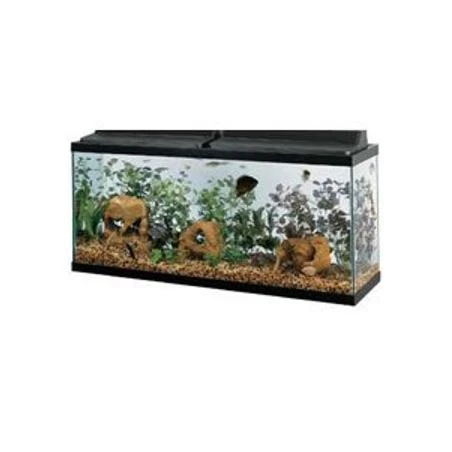 Black Trim Aquarium, 55 GAL 48X13X20