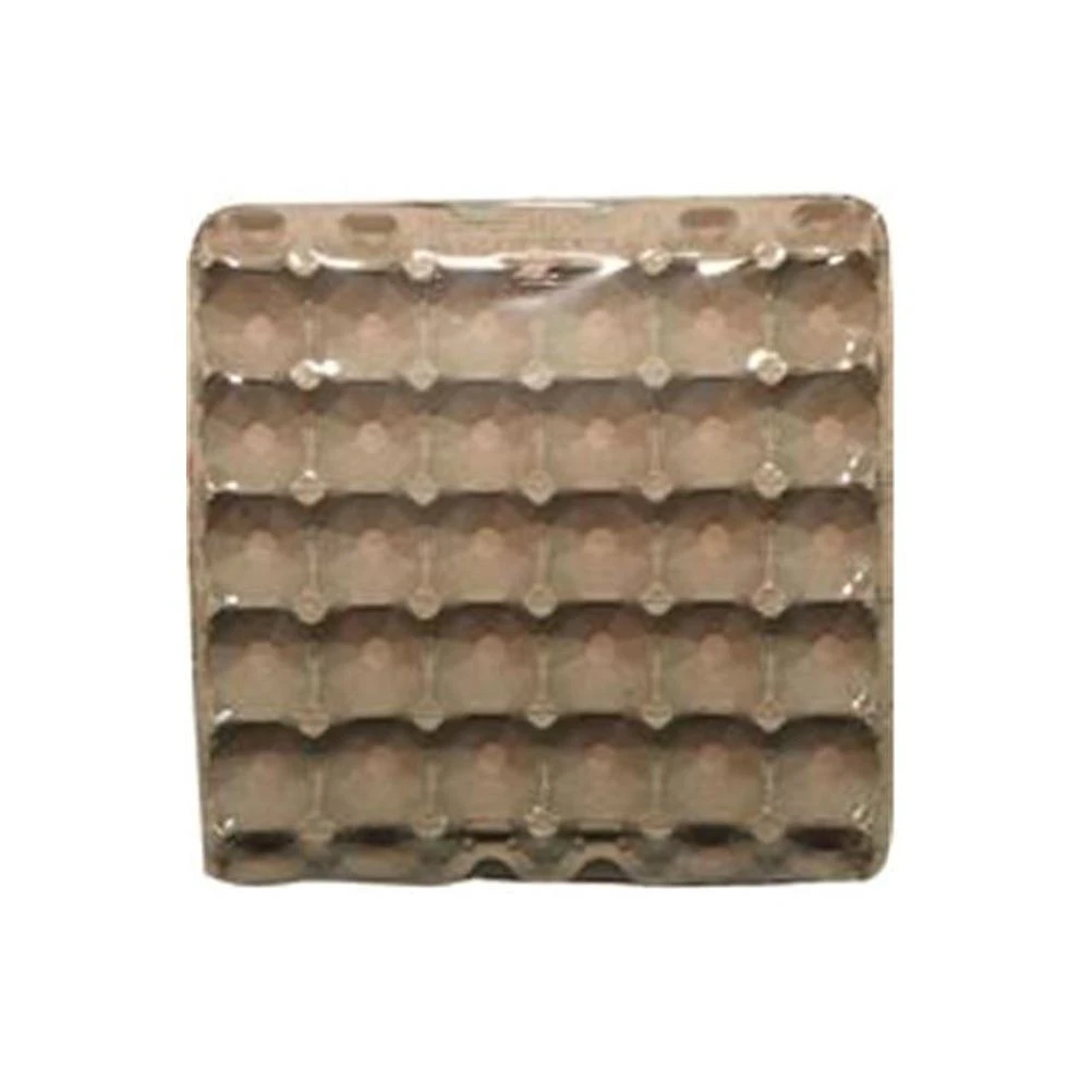 EGGFLAT30 5 x 6 in. Egg Flats - 12 per Pack