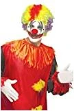 Multi-Color Clown Costume Wig