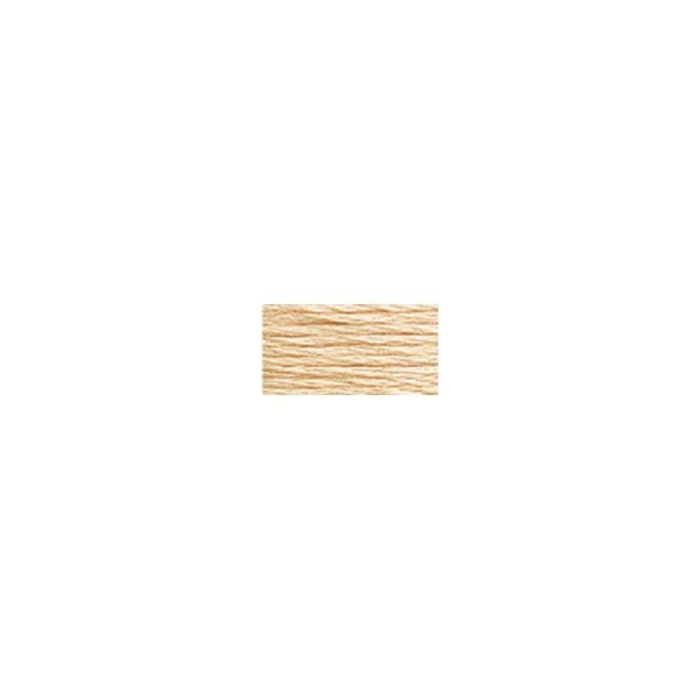 Bulk Buy: DMC Six Strand Embroidery Cotton 8.7 Yards Light Tawny 117-951 (12-Pack)