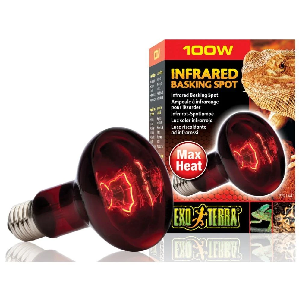 Exo-Terra Infrared Basking Spot Lamp 100W, 100 W / 3 IN