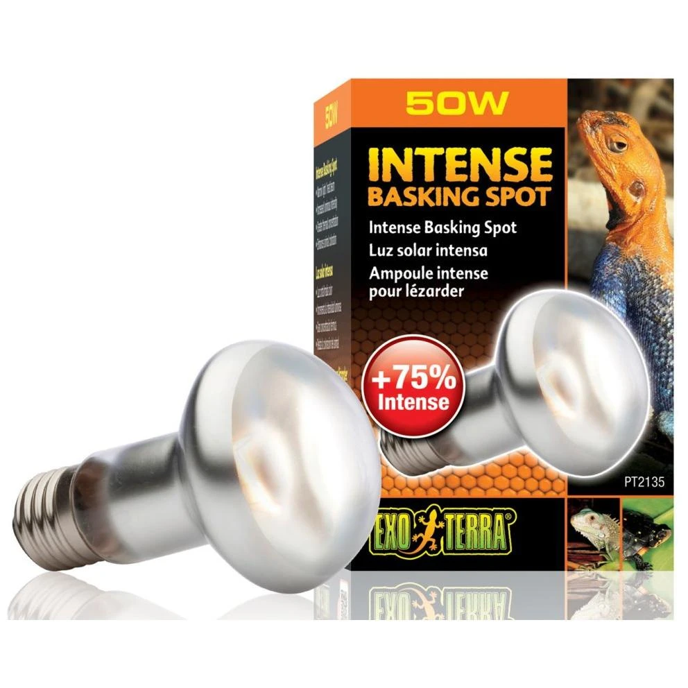 Exo-Terra Intense Basking Spot Lamp 50W, 50 W / 2.5 IN