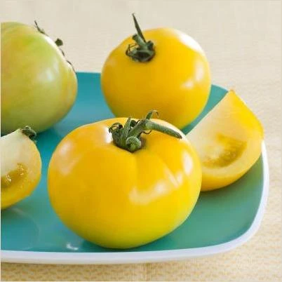 4.5 in. 19.3 oz. Tomato-Lemon Boy