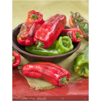 4.5 in. 19.3 oz. Pepper-Giant Marconi
