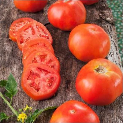 606 Tomato-Rutgers- Heirloom Pack