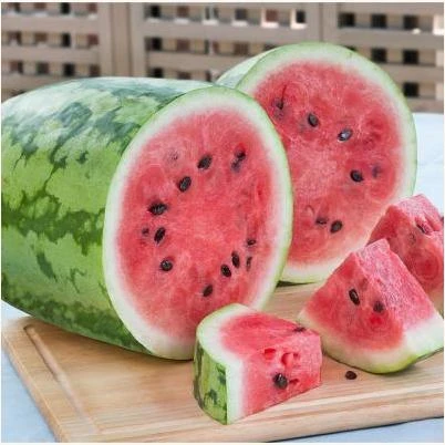 606 Watermelon-Jubilee Pack