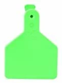Z Tags 25 Count 1-Piece Blank Tags for Calves, Green