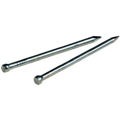 2 Inch Electro-Galvanized Roofing Nails 1 Pound