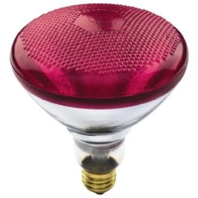 100-Watt Red Flood Light Bulb for Outdoor and Security Lighting