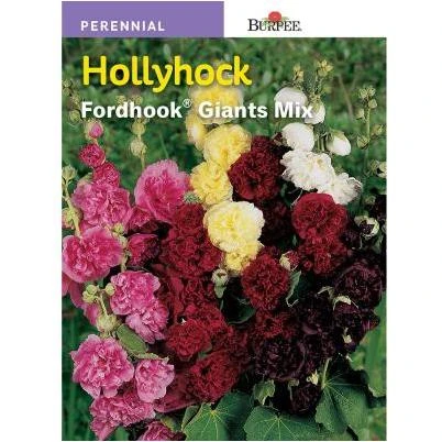 Hollyhock Fordhook Giants Mix Seed