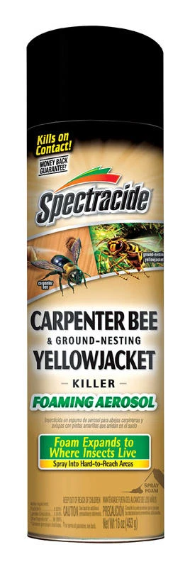 Spectracide Foam Insect Killer 16 oz