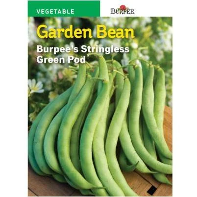 Bean Bush Snap Stringless Green Pod Seed