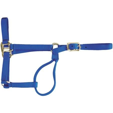Weaver Leather 35-7006-BL Nylon Horse Halter-1" BLUE LARGE HALTER