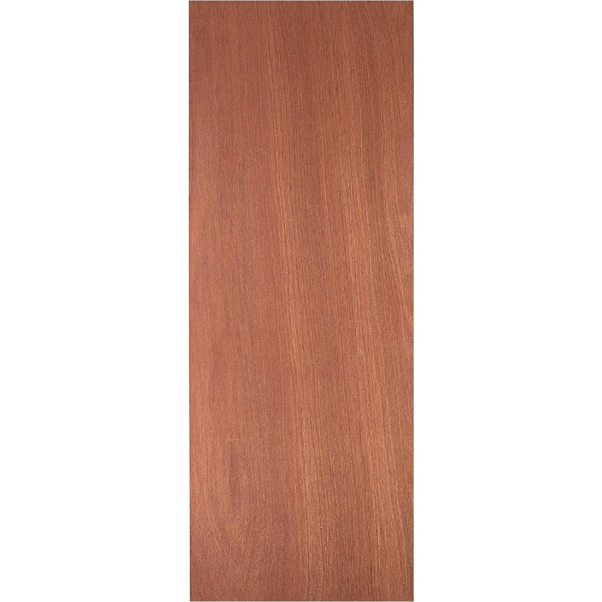 Masonite 18 In. W. x 80 In. H. Lauan Wood Interior Hollow Core Door Slab
