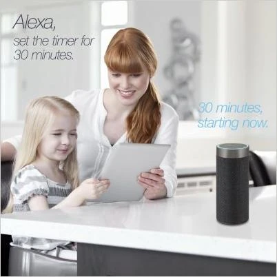 Alexa Wi-Fi Concierge Wireless Speaker with Voice Activation in Gray
