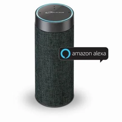 Alexa Wi-Fi Concierge Wireless Speaker with Voice Activation in Gray