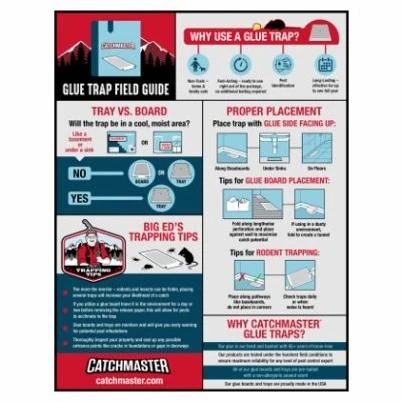 Mouse & Insect Glue Traps, Baited, 6-Pk.
