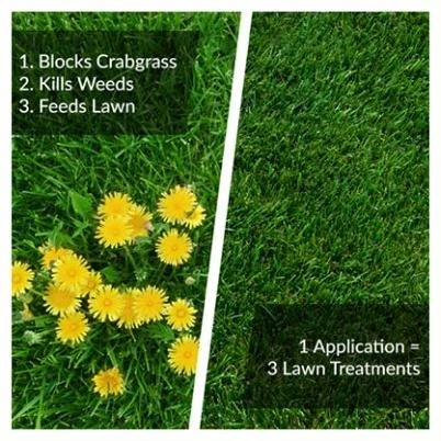 Fairway Formula Spring Fertilizer Weed & Feed + Crabgrass Preventer, Covers 5,000 Sq. Ft., 18 Lbs.