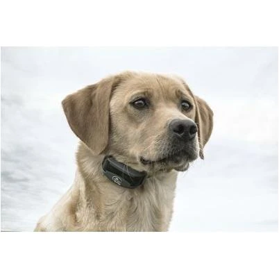 FieldTrainer 425X Remote Dog Training Collar with 500 Yard Range