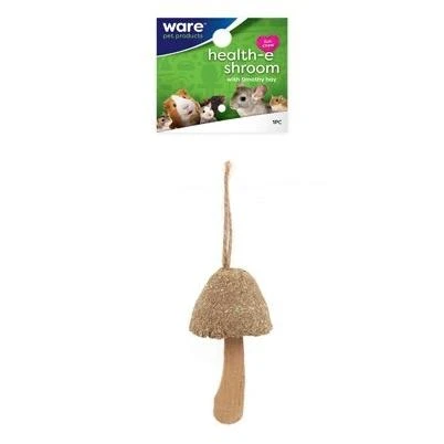 Health-E Schroom Chew Toy for Small Pets