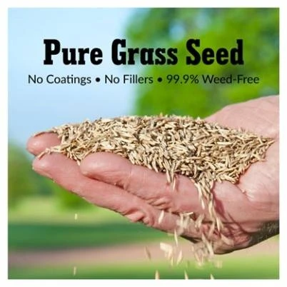 Fairway Formula Grass Seed for Sun and Shade, 7 Pounds Bag