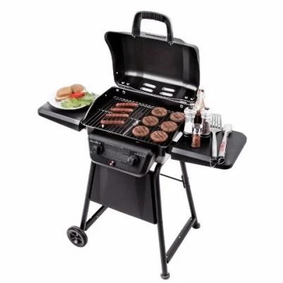 Classic 280 Two-Burner Liquid Propane Gas Grill with 20,000 British Thermal Units