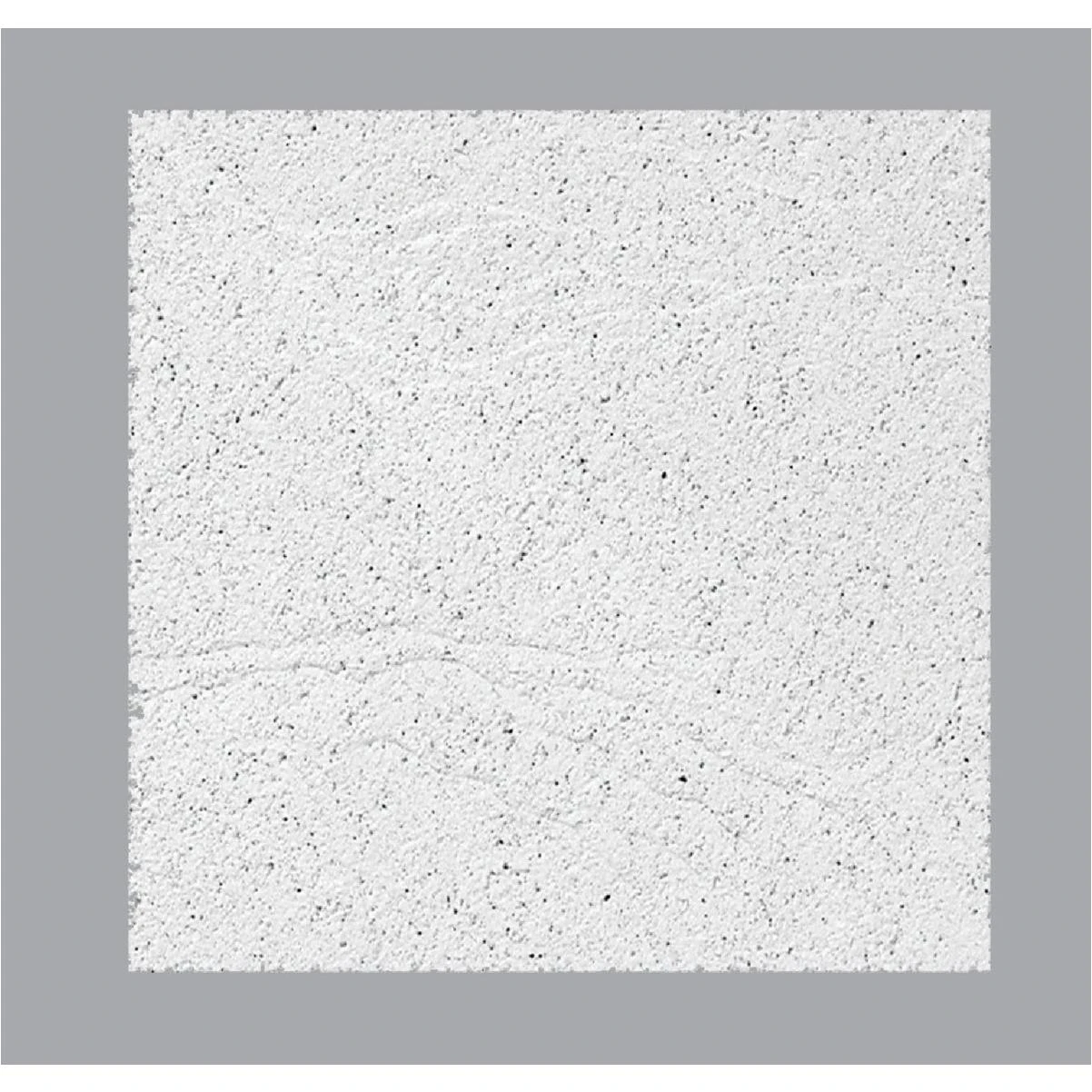 USG Sandrift 2 Ft. x 2 Ft. Mineral Fiber Acoustical Ceiling Panel (8-Count)