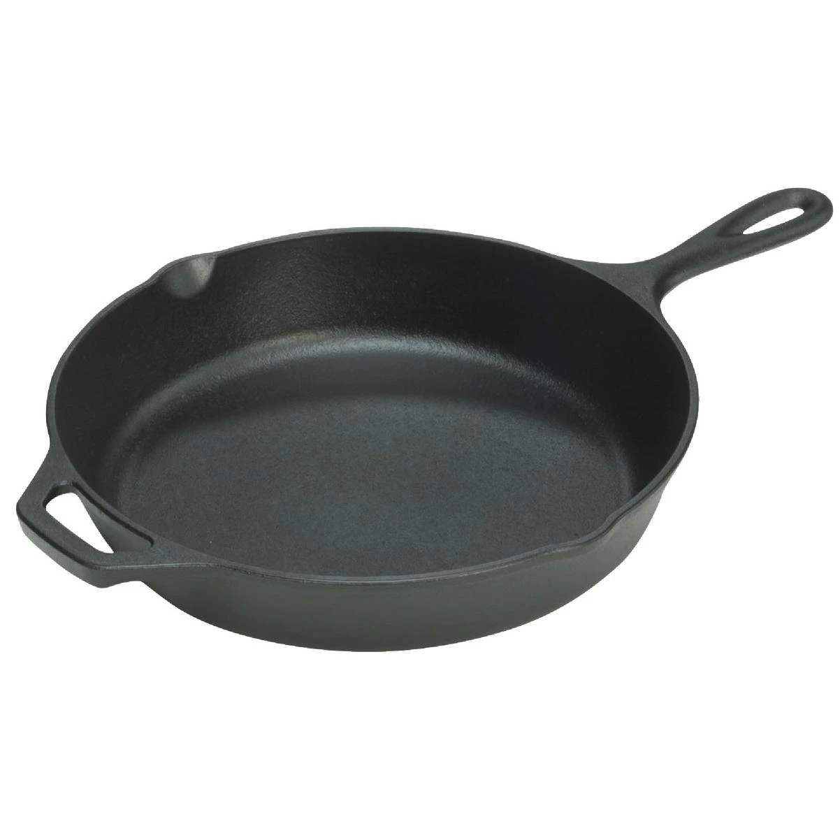 Lodge 15-1/4 In. Cast Iron Skillet with Assist Handle