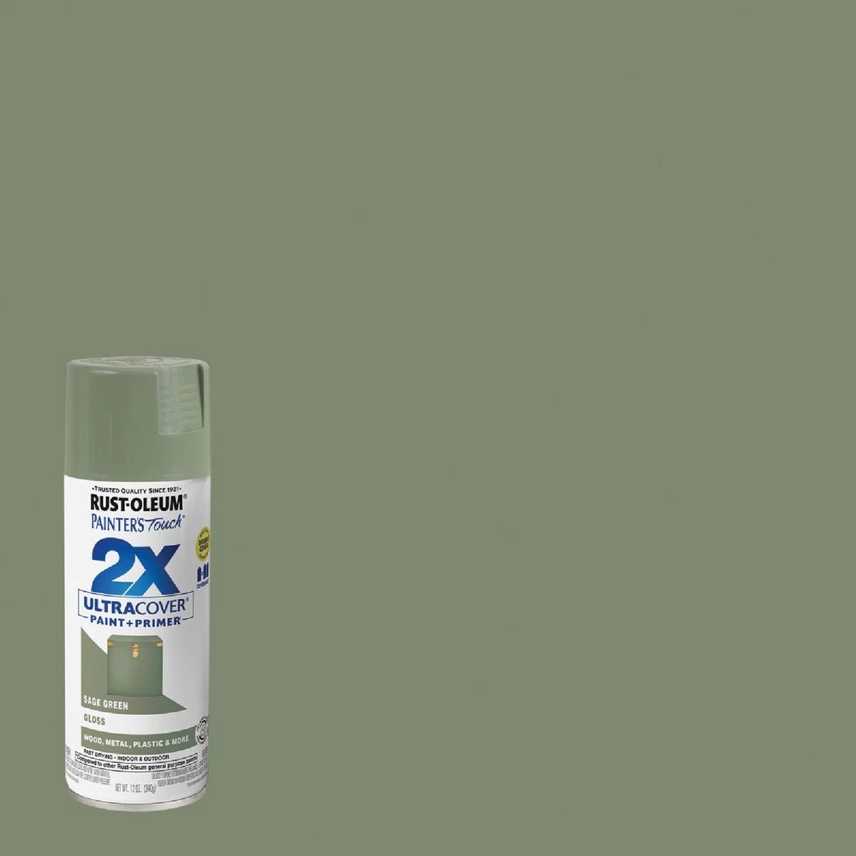Rust-Oleum Painter's Touch 2X Ultra Cover 12 Oz. Gloss Paint + Primer Spray Paint, Sage Green