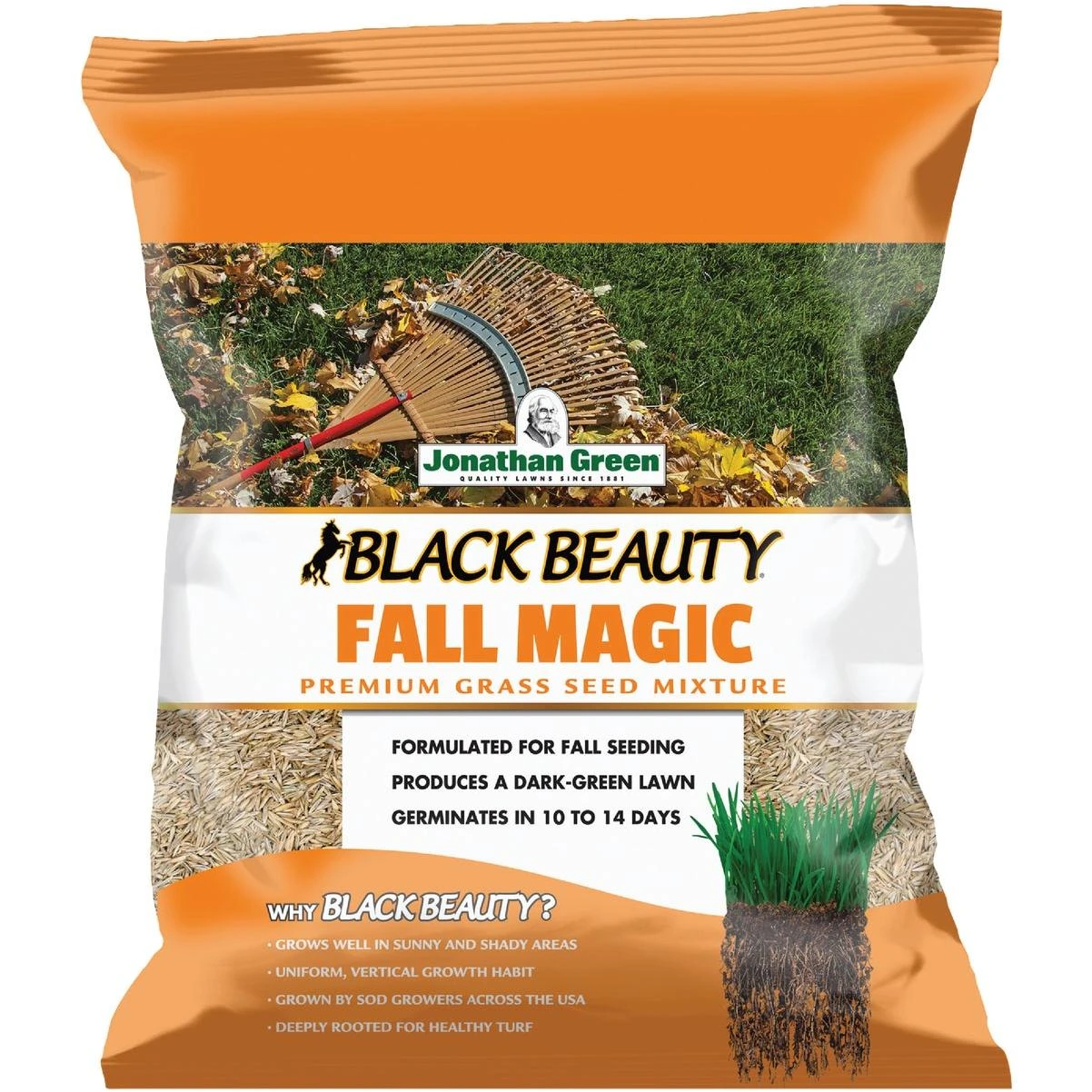 Jonathan Green Black Beauty Fall Magic 7 Lb. 1750 Sq. Ft. Coverage Sun & Shade Grass Seed