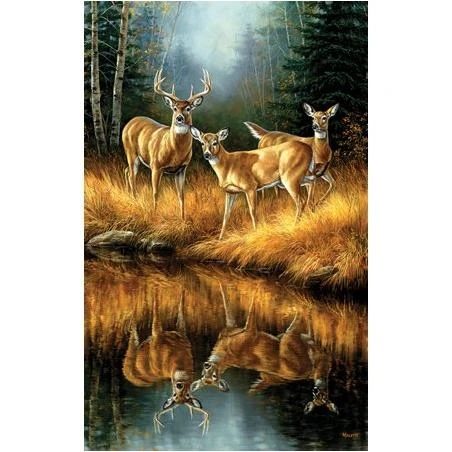 Suns Out 30923 Whitetail Reflections 550 Pc Jigsaw Puzzle