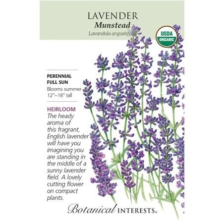 Organic Munstead Lavender - 40 Mg