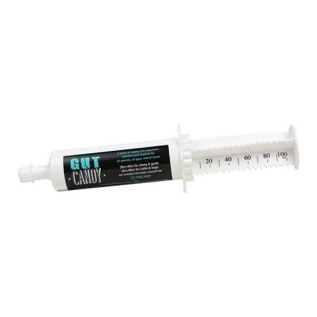 Precision Feed Technologies 70-1300-100 Gut Candy Paste 100CC