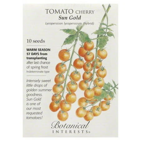 Sun Gold Cherry Tomato - 10 Seeds - Very Sweet