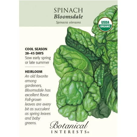 Bloomsdale Spinach Seeds - 3 grams - Certified Organic