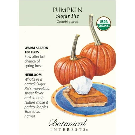 Organic Sugar Pie Pumpkin Seeds - 3 grams