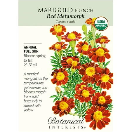 Organic Red Metamorph French Marigold Seeds - 150 Milligrams